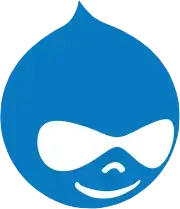 Drupal CMS Platform Expertise